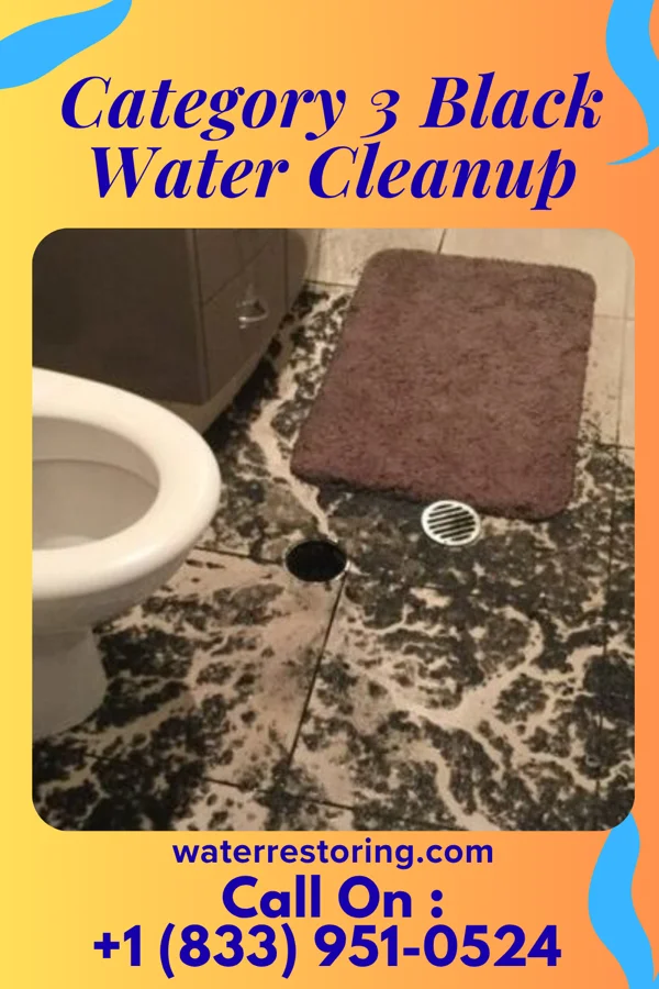 Category 3 Black Water Cleanup in Gary, MN