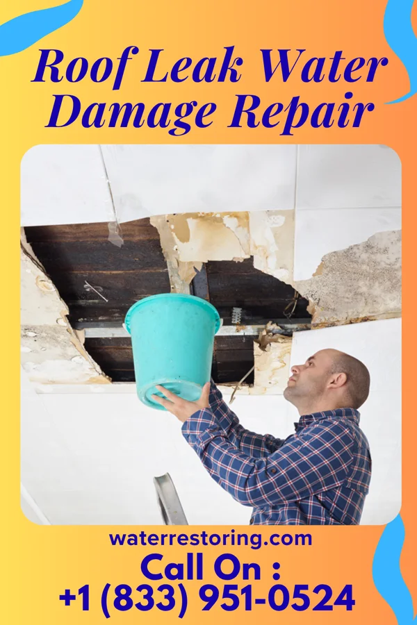 Roof Leak Water Damage Repair in Gary, MN