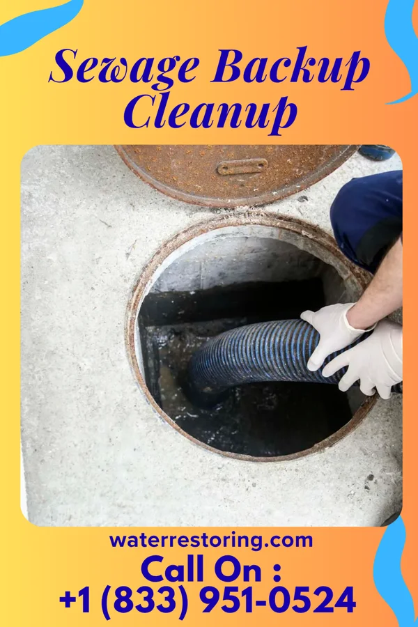 Sewage Backup Cleanup in Gary, MN